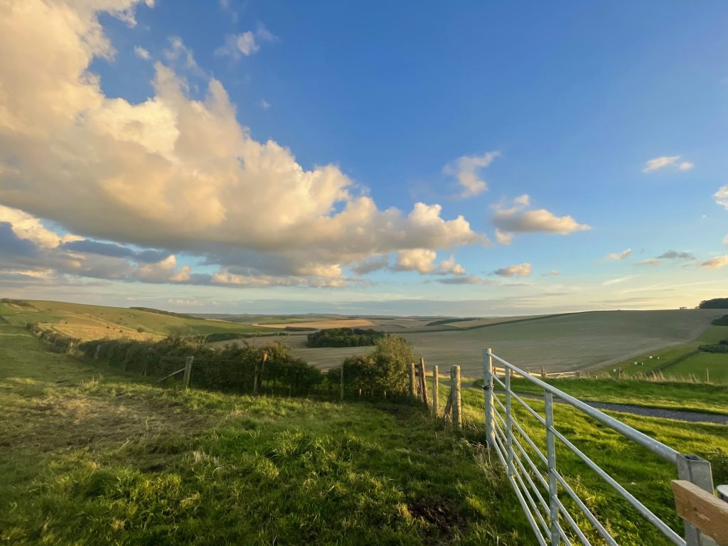 Grassland and fencing in the North Wessex Downs, England